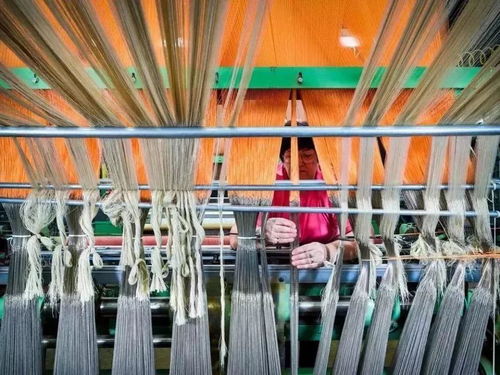 美國出口管制清單新增14類技術，特種紡織品貿易面臨新挑戰(zhàn)